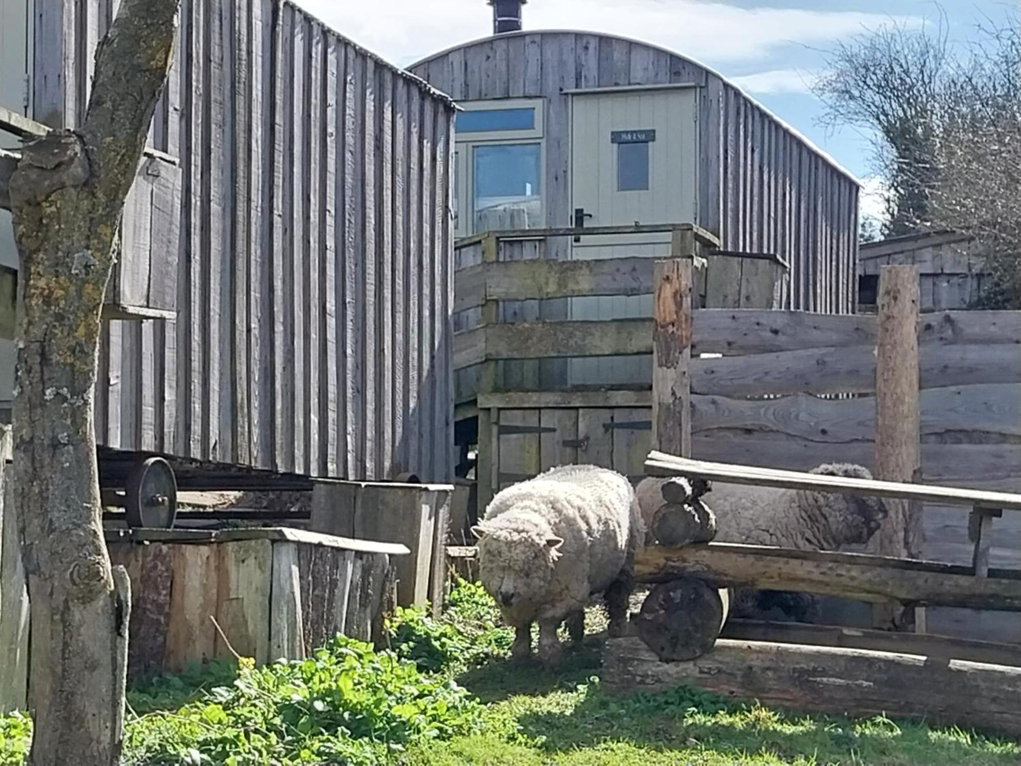 Meadowbeck - Shepherd Huts Fylingdales Екстериор снимка