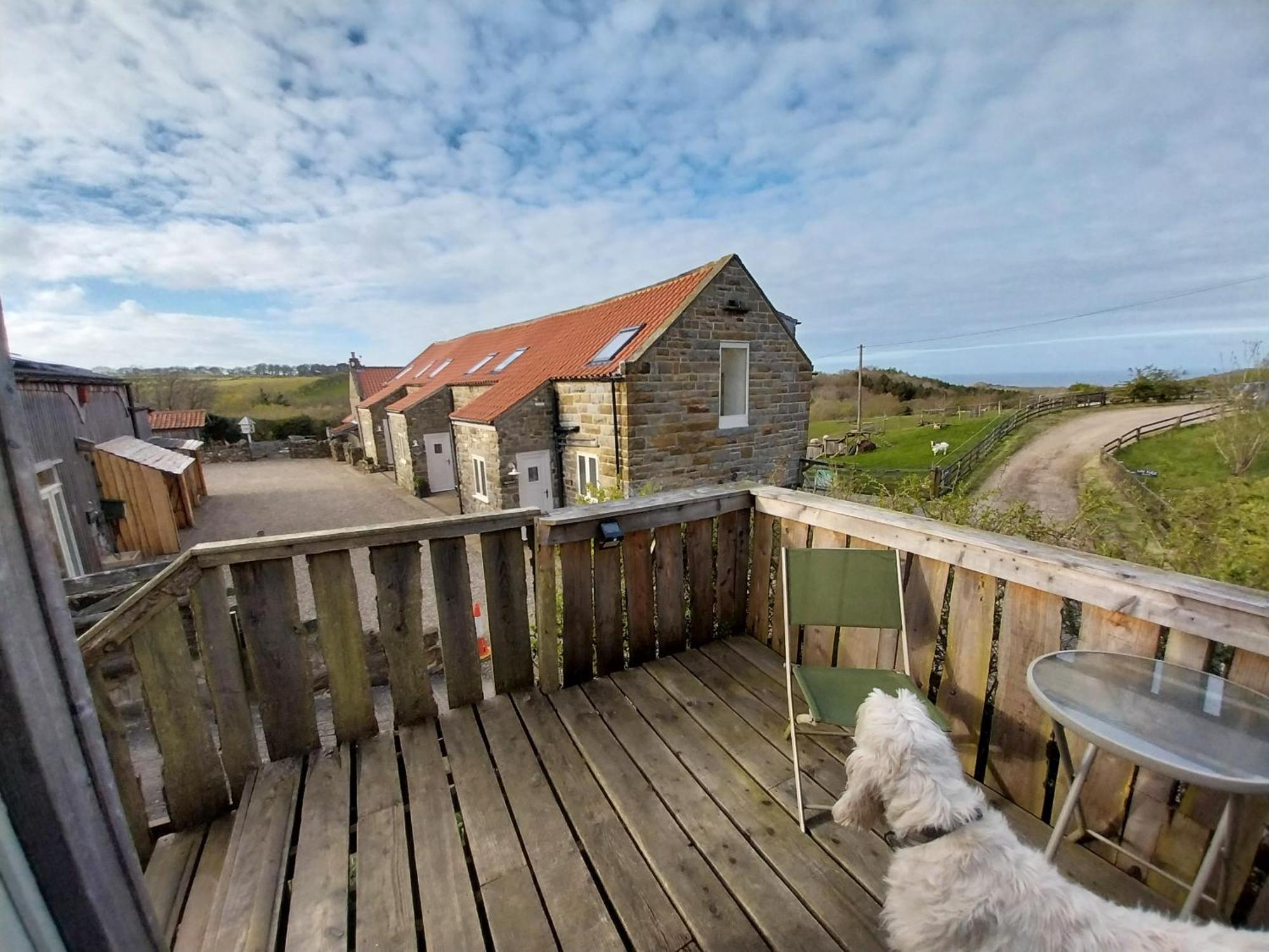 Meadowbeck - Shepherd Huts Fylingdales Екстериор снимка